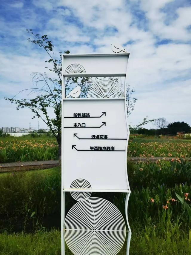 每天8.5万吨洗脚水冲厕水，竟都流向了这个网红公园？