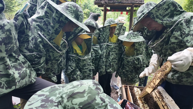 清凉天丨湖北神农架：华中绿肺，22℃秘境