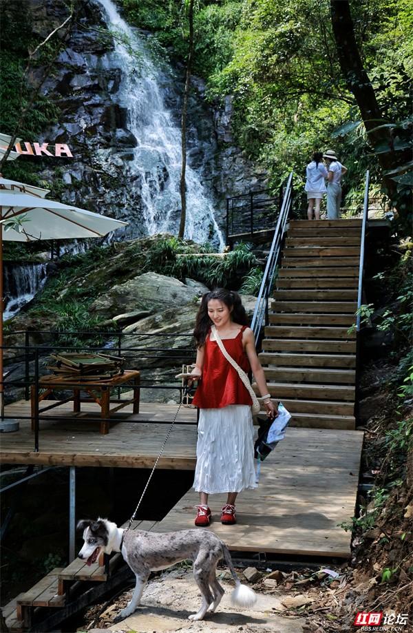 周末出走计划：浏阳深山溯溪营地，承包一整夏的清凉