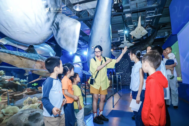 厦门元宵旅游嘉年华启幕！超500场活动、七大特色玩法→