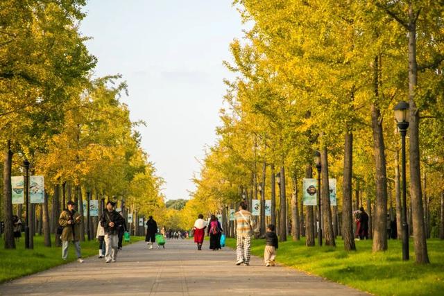 开始黄了，宋夹城“寻金季”正在上线！