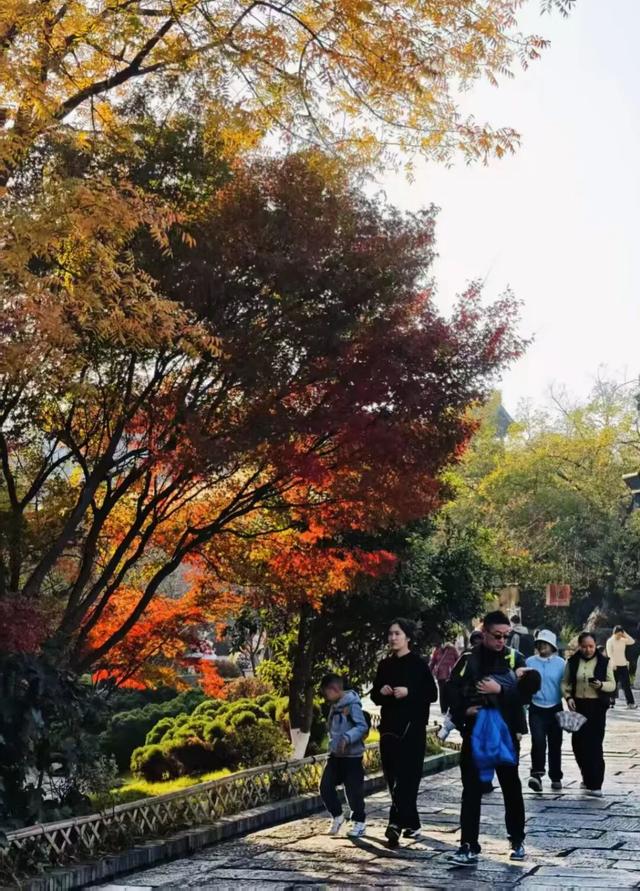 人人人人人!今天常州热度爆了