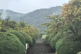 寻找山东最美大学|泰山学院马静：《石阶之秘》图片