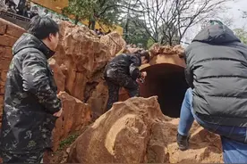 昆明动物园两只猫咪已抵达北京新家，状态良好图片