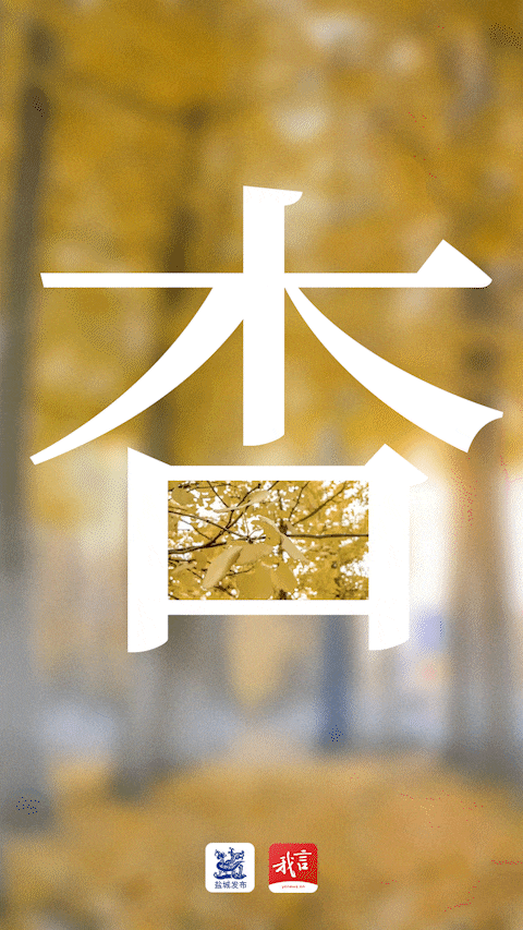 美翻了！大批盐城人出动！