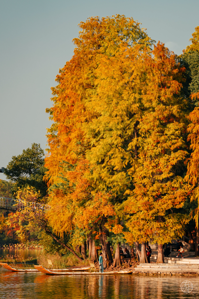 天晴了，去落雁过秋天！