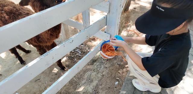 骑行、泛舟、烤肉、萌宠互动，快来雁栖湖体验非一般感觉