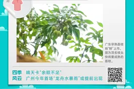 温度记｜晴天“余额不足”，广州今年首场“龙舟水暴雨”或提前到来图片