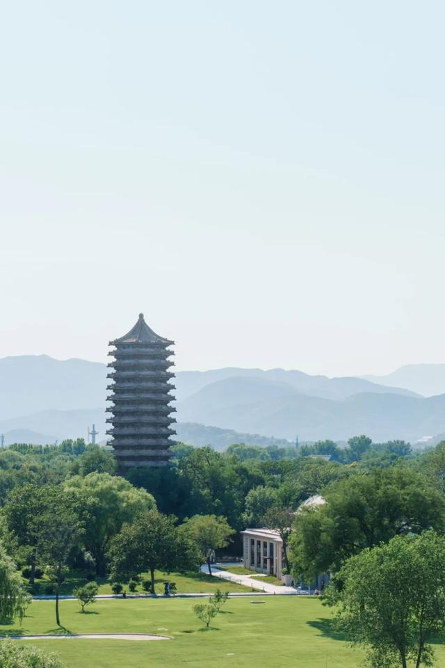 盛夏荷花，别有一番景致在北大