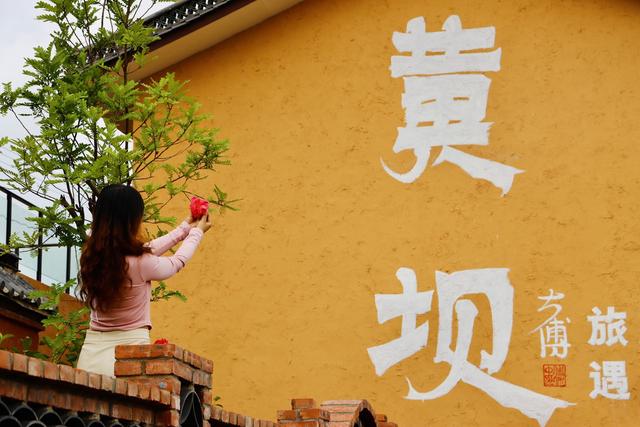 云新闻关注丨诗意旅居，云岭初冬氛围感超绝！