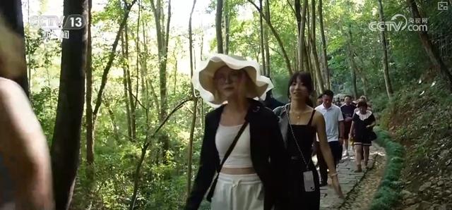 传统、现代、赛事、服务……精准触达！政策“组合拳”显效 “入境游”超预期增长
