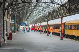 新西兰官宣！今年11月起，中国公民符合这个条件可免签入境图片