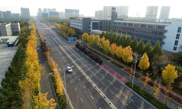 不必远行！邢台街头巷尾的彩叶之约等你赴会