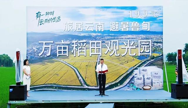 旅居云南•避暑鲁甸19.9℃｜鲁甸万亩稻田开园啦！快来打卡！治愈力MAX!