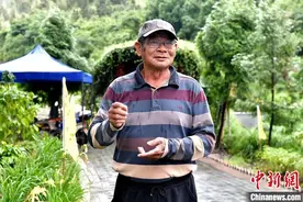 六旬台农的闽西谷主梦：种萱草建“台东忘忧谷”图片