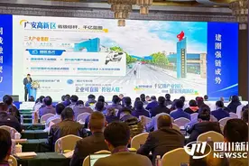 总投资38.8亿元 广安邻水新签约15个汽车零部件配套项目图片