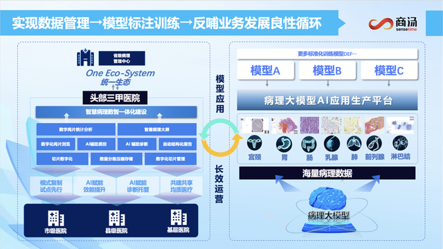 “AI+医疗”成行业共识，病理诊断体系能跟上数智化潮流吗？和临床结合怎样