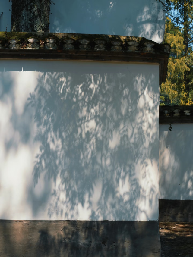 来江西书院赏秋，聆听穿越千年的风雅颂！