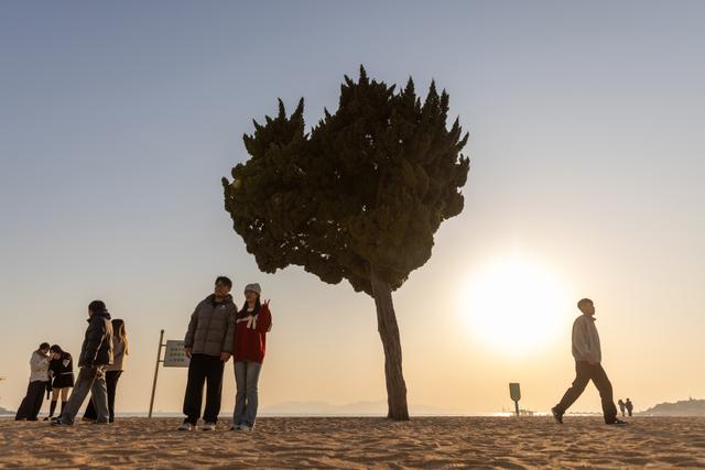 “爱心”树下 暮色醉人