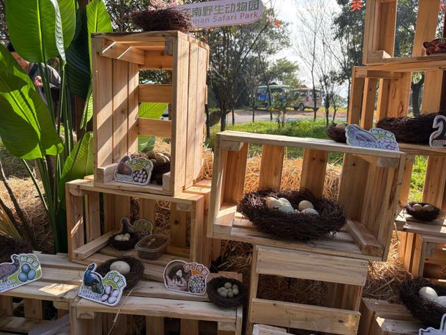 寻蛋迎新！云南野生动物园藏着10000+“宝藏蛋”等你来探