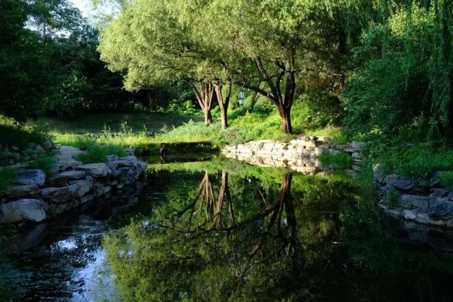 漫谈圆明 | 忆圆明园一游