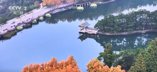 “枫叶+”燃动秋日文旅消费“热引擎” 以旅促农增收再添“金钥匙”