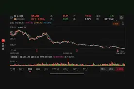 暴跌96%！极米科技利润消失之谜｜深度图片