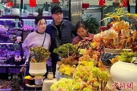 春意盎然 安徽合肥民众购花热情高涨图片