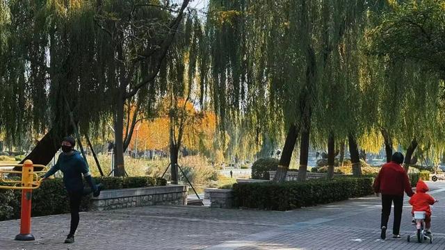 记者实拍！肥城五彩斑斓的景色，每一帧都是写给秋日的情书~