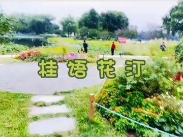 北京号最精彩｜秋色上新！紫色花毯蔓延昆玉河畔——