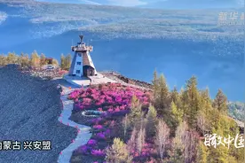 瞰中国｜一树一丛正含芳 山川尽染映山红图片