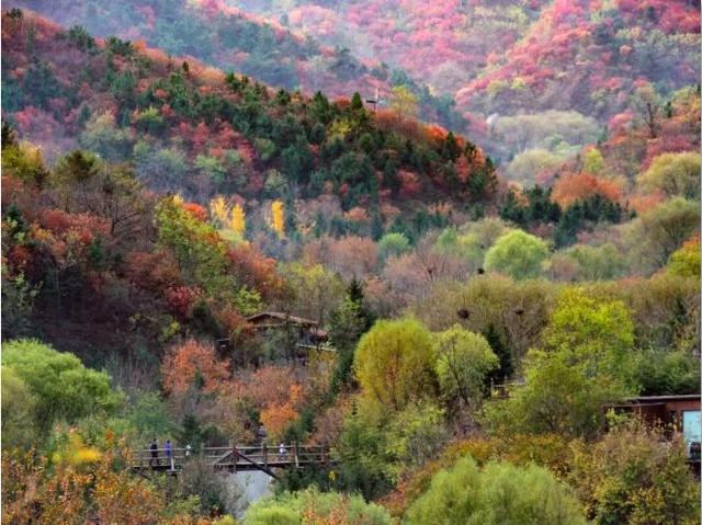 双节文旅热问：为什么这个假期，大家都爱奔赴济南？