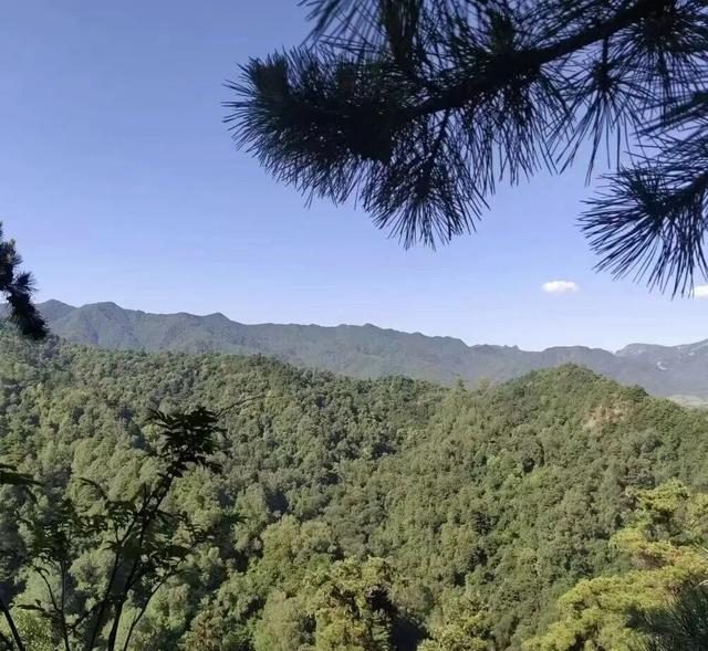 首阳山旅游攻略