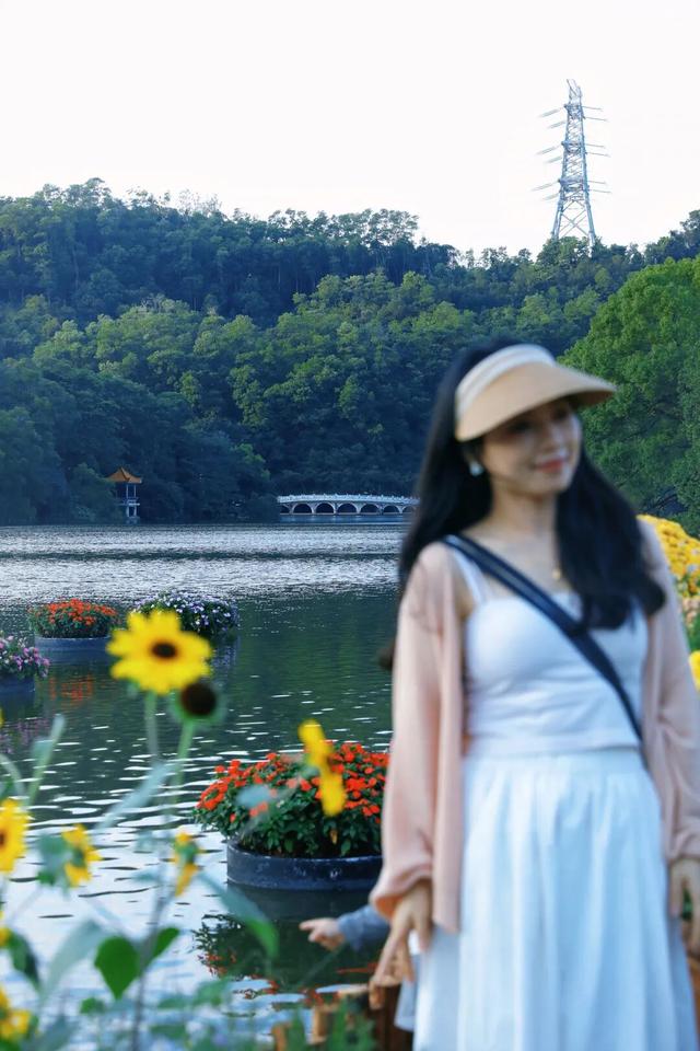 行摄 | 美爆了！秋日花海，限时上映