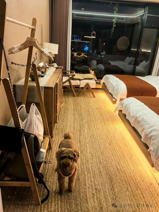 自驾：富饶的上饶