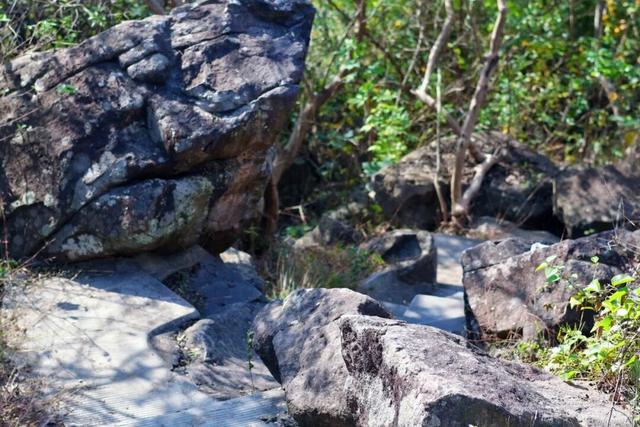 在雨山邂逅暗香苑，寻见一方藏在城市角落的桃花源