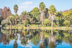 昆明冬日绿意暖