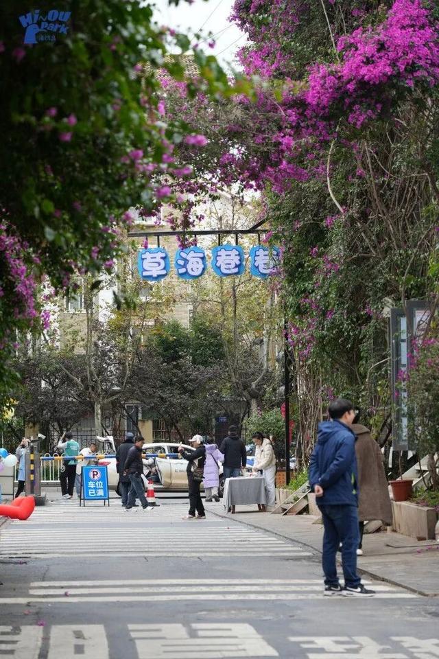 打卡点上新！滇池海埂大坝草海巷巷开街！文创+咖啡休闲街区等你来打卡