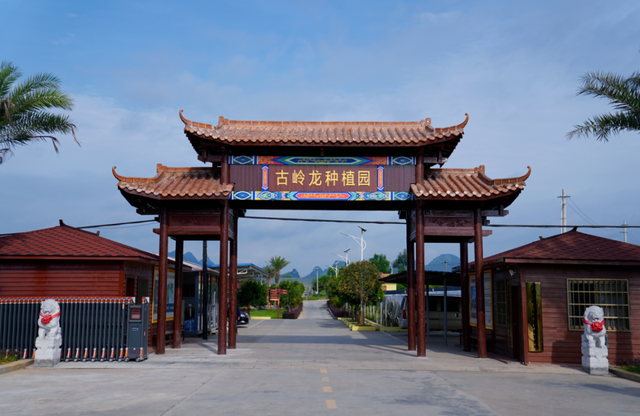 坐上高铁说走就走！广西这座烟火小镇，太安逸了