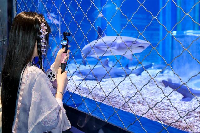 采风团走进湖北交投海昌海洋探索馆：趣游海洋世界，探寻交旅融合