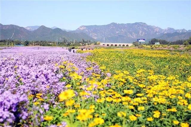 初秋→深秋，昌平这7条赏秋线路必冲！