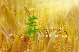 芒种｜古画里的节气：“始于希望，结于丰盈”！图片