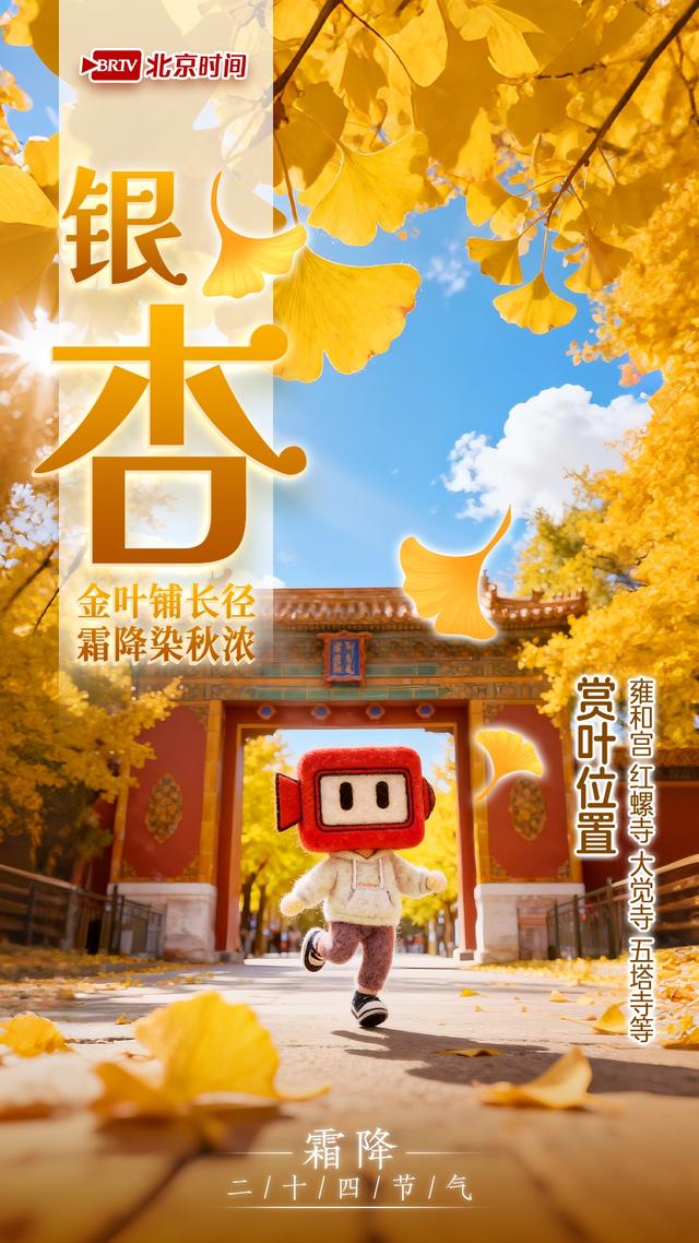 霜降踏京秋 一叶一风光｜8种彩叶绘就北京多彩又诗意的秋