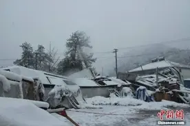 一探究竟｜雪到底有多重？为何能压垮临时搭建物？图片