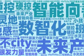 “2024年十大流行语”发布 你被哪几个“硬控”了？图片