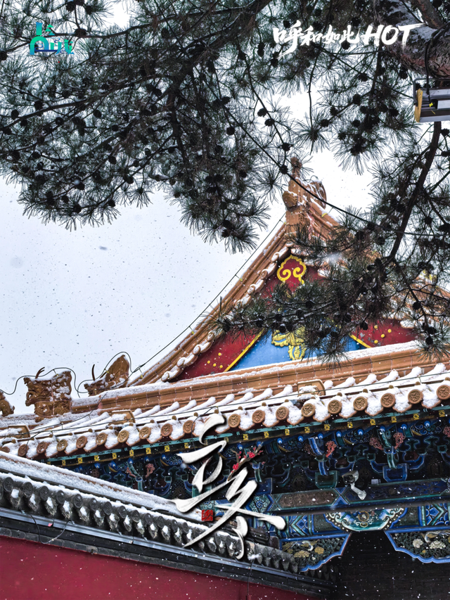 今日立冬！呼和浩特的冬天，一半沉静，一半炽热