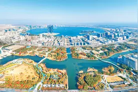 从外资大项目看引资新变化图片