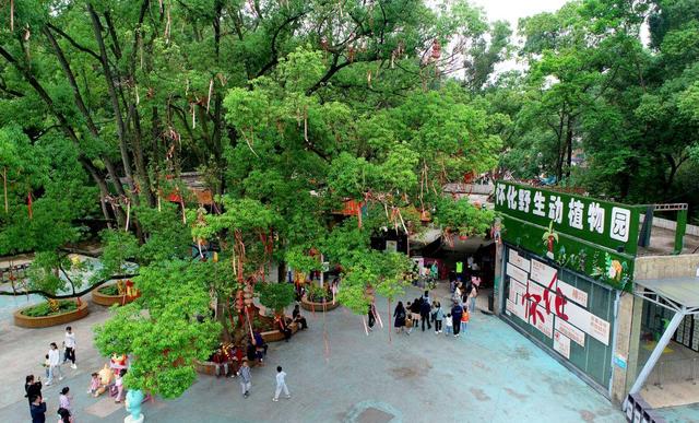 ​沅水号子：从“风景旅游”向“文化体验”升级