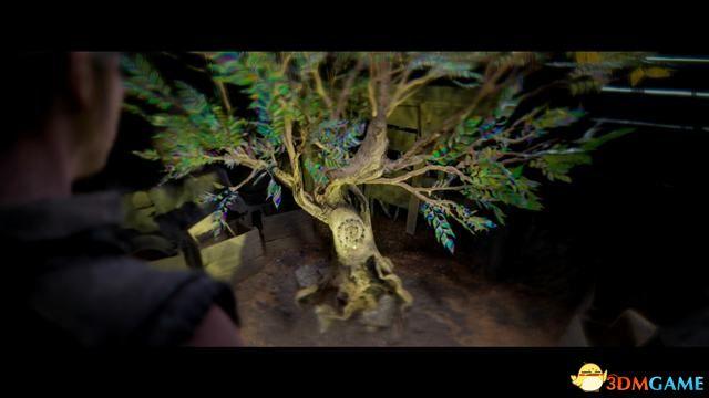 《地狱之刃2：塞娜的献祭》全剧情流程攻略 全收集全章节解密