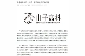 V观财报｜直接涨停！山子高科“80后”董事长停薪致歉，李书福扶持造车图片